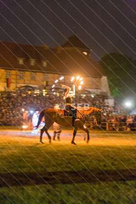 Burgfest Neustadt-Glewe 2018