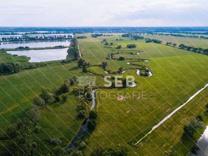Alte Elde