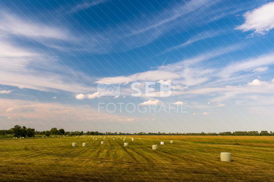 Landschaft in der Lewitz