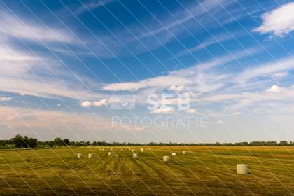 Landschaft in der Lewitz