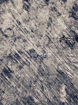 Schlosspark Ludwigslust