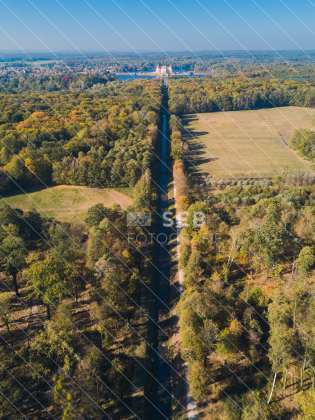 Blick zum Schloss Moritzburg