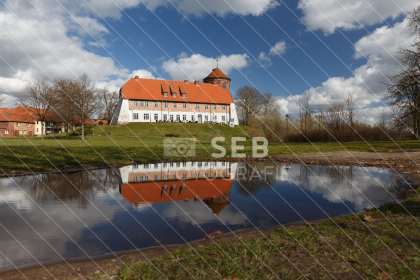 Die Neustädter Burg spiegelt sich in einer Pfütze