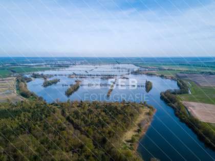 Fischteiche in der Lewitz