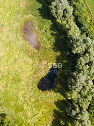 Aubach kurz vor dem Medeweger See