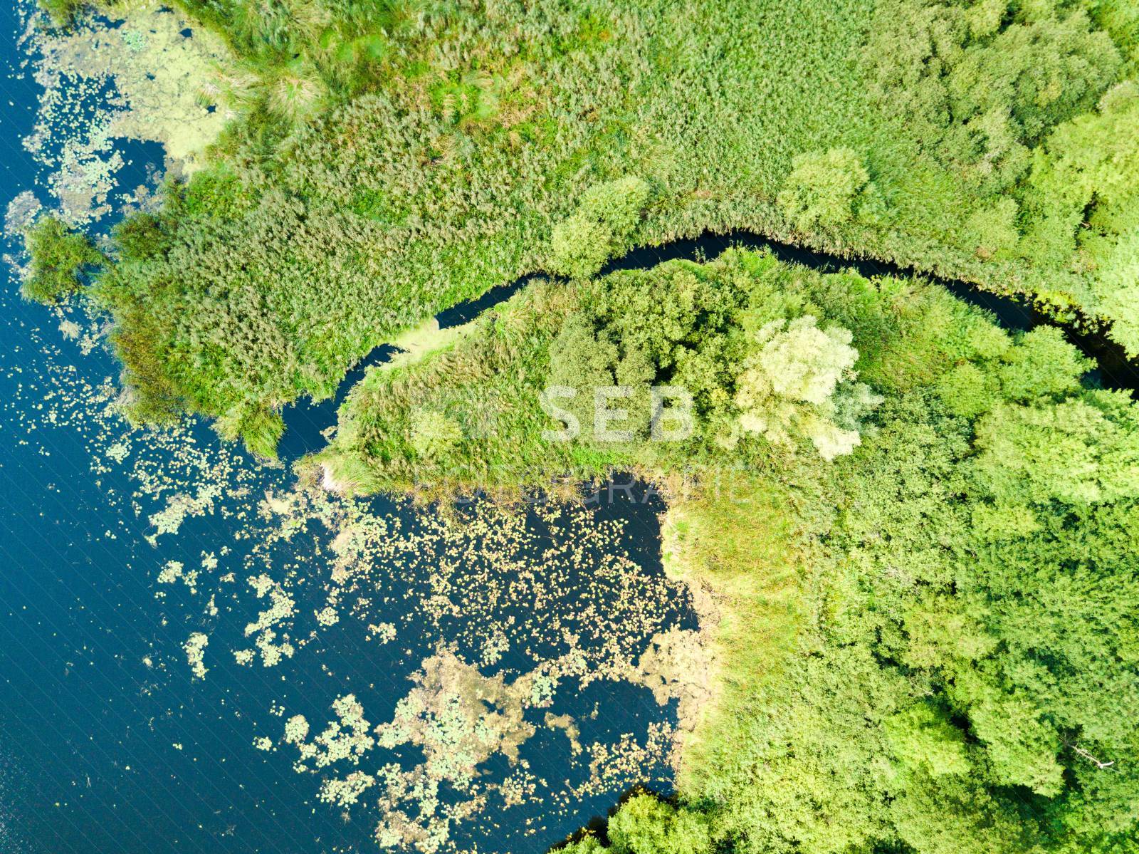 Mündung des Aubachs in den Medeweger See