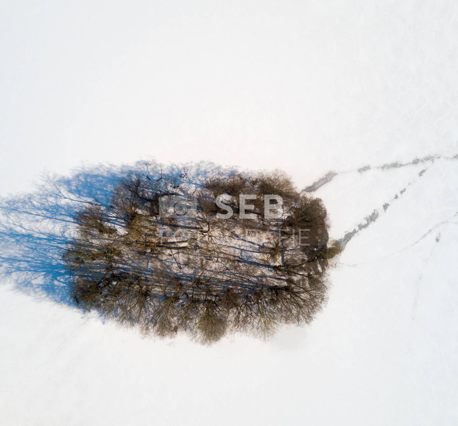 Lankower See bei Frost