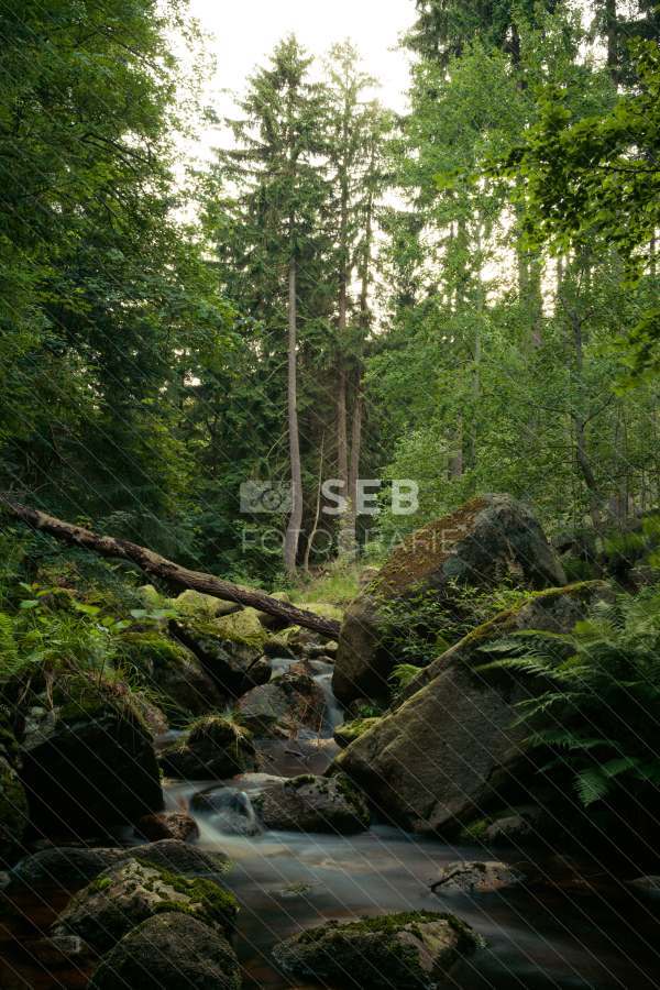 Steinerne Renne bei Wernigerode