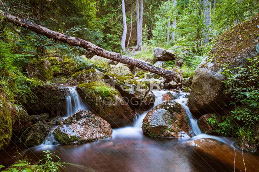 Steinerne Renne bei Wernigerode
