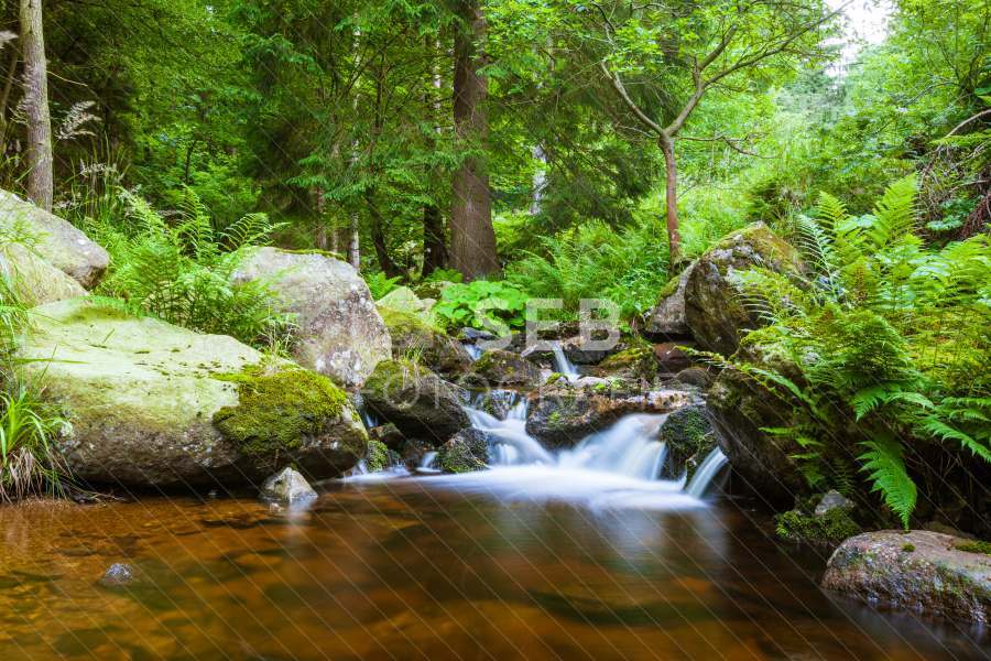 Steinerne Renne bei Wernigerode