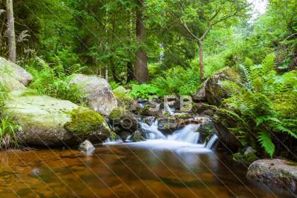 Steinerne Renne bei Wernigerode