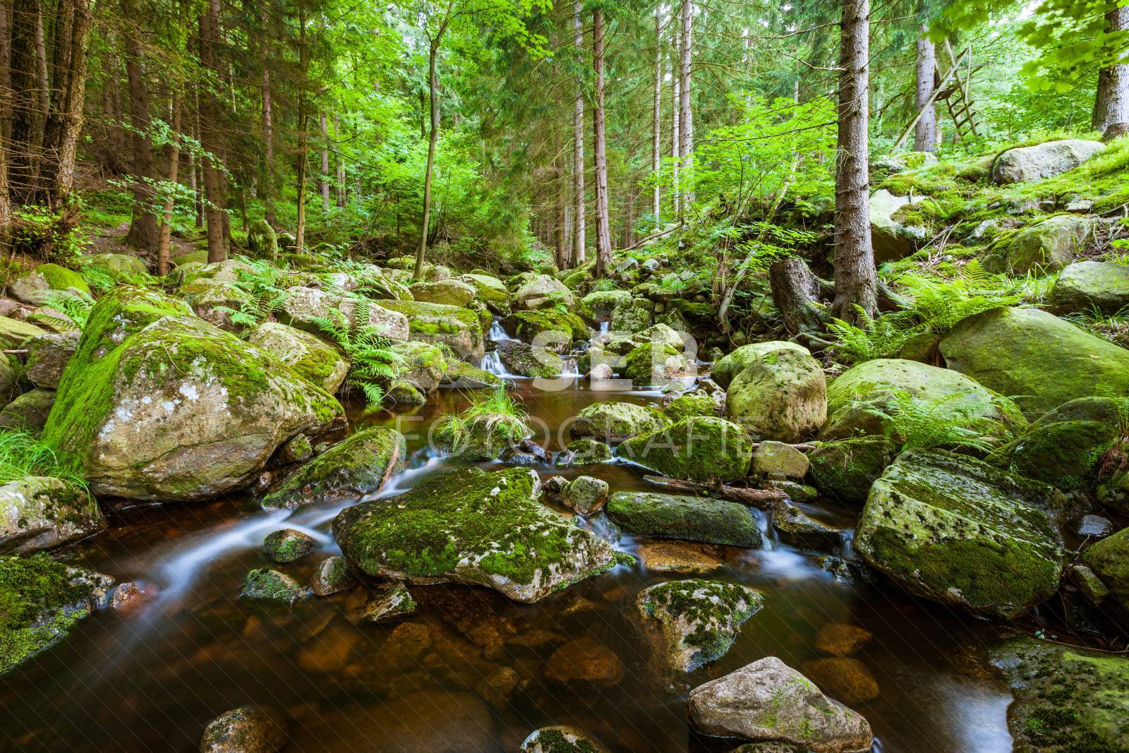 Steinerne Renne bei Wernigerode