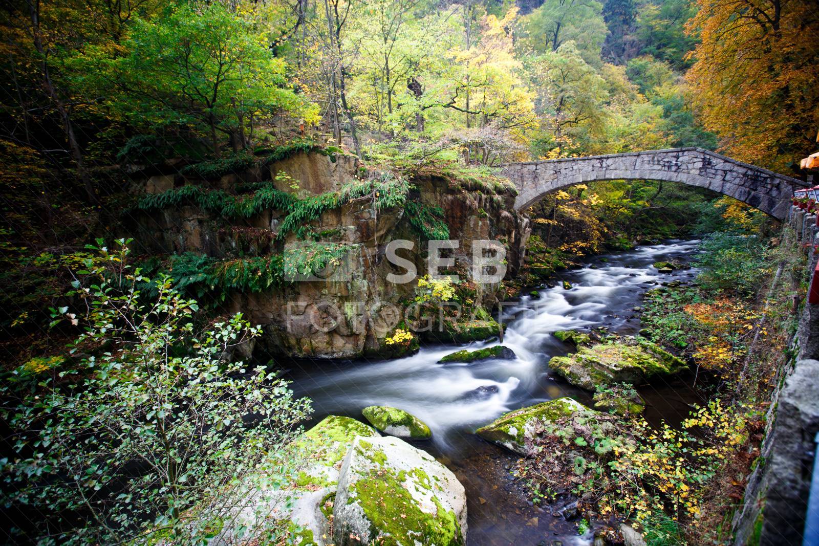 Unterwegs im Bodetal