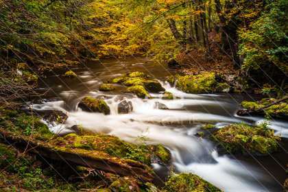 Unterwegs im Bodetal