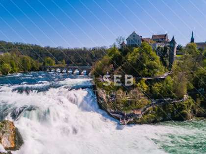 Rheinfall Neuhausen