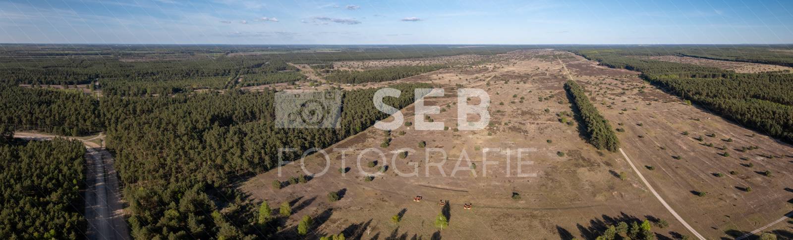Lübtheener Heide