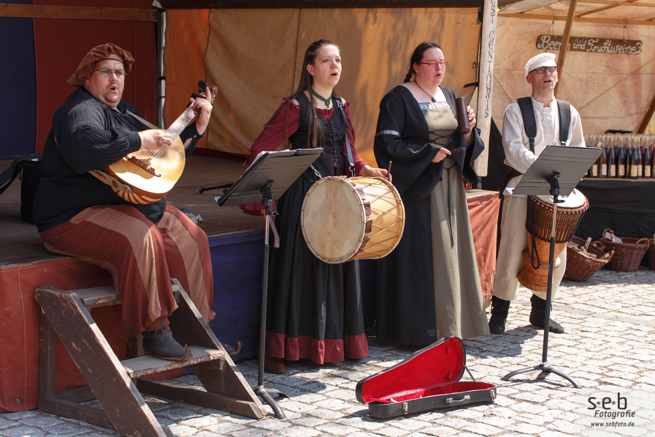 Burgfest Neustadt-Glewe 2013