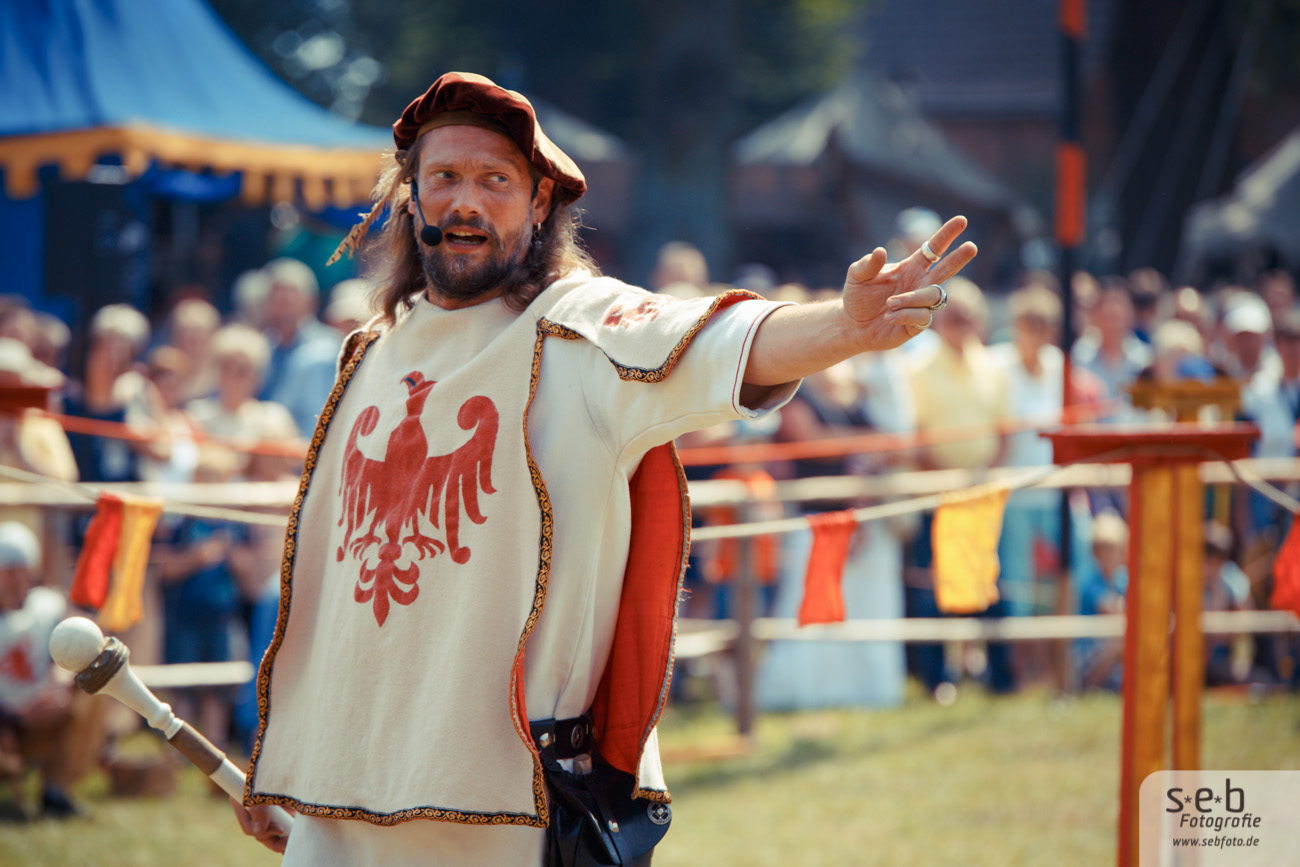 Burgfest Neustadt-Glewe 2013