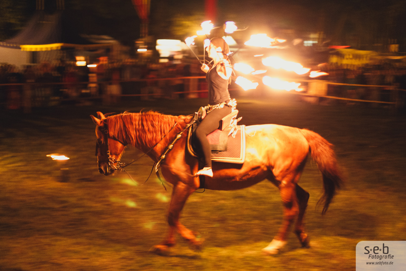 Burgfest Neustadt-Glewe 2013
