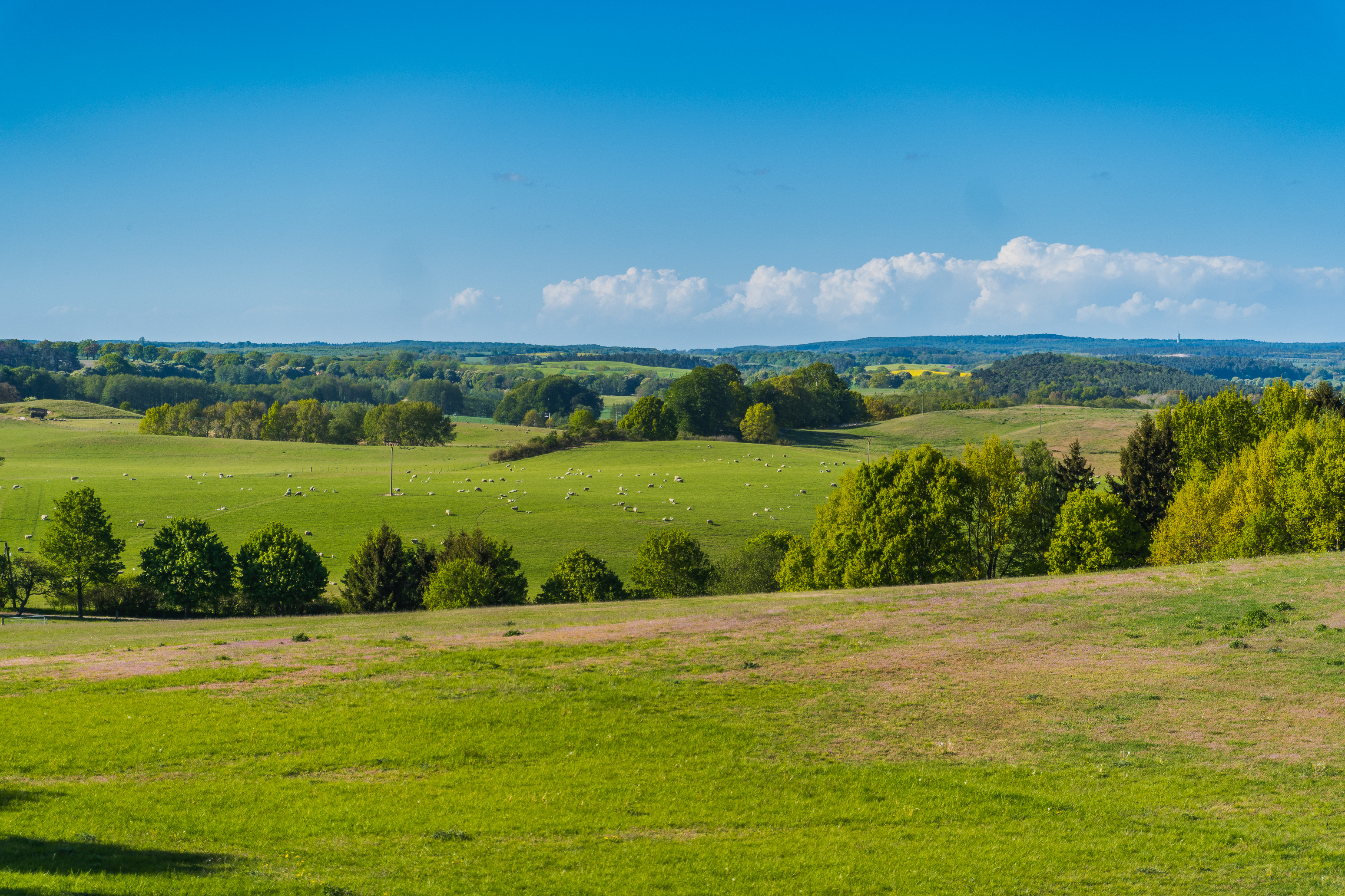 Impressionen von einem kurzen Ausflug ins Warnowtal
