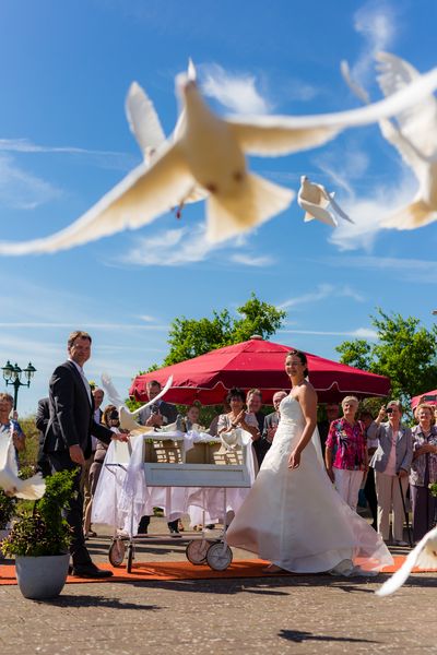 S.E.B. Fotografie Slideshow 3