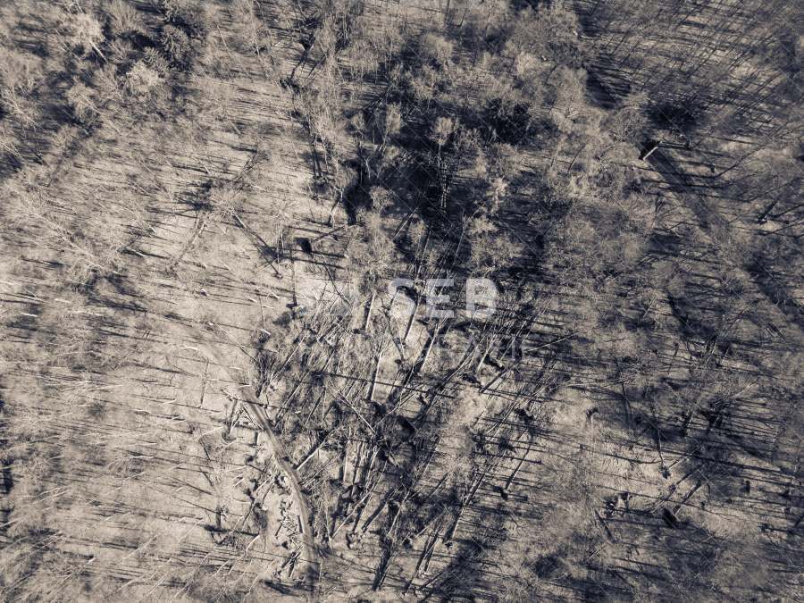 Schlosspark Ludwigslust