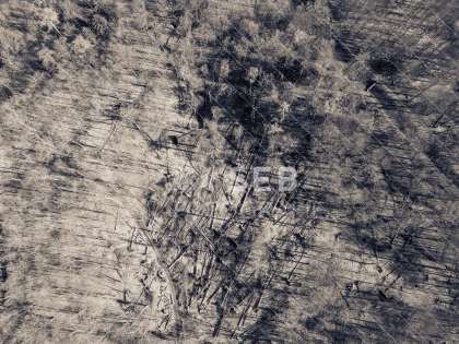 Schlosspark Ludwigslust