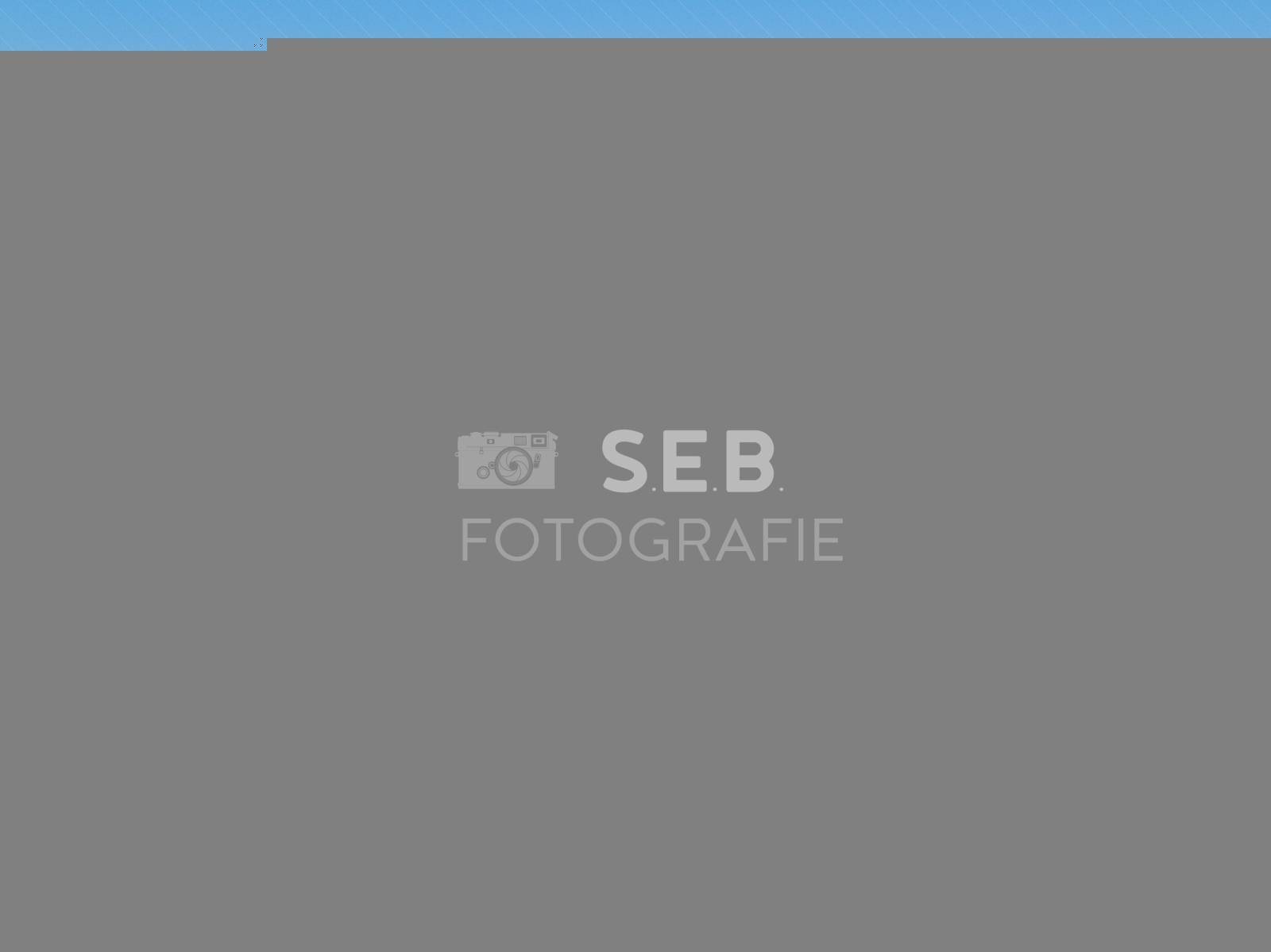 Leuchtturm beim Fasanenschlössen Moritzburg