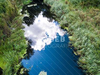 Aubach kurz vor dem Medeweger See