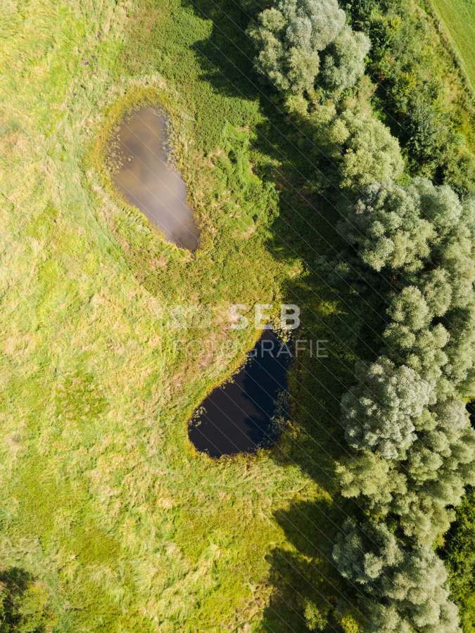 Aubach kurz vor dem Medeweger See