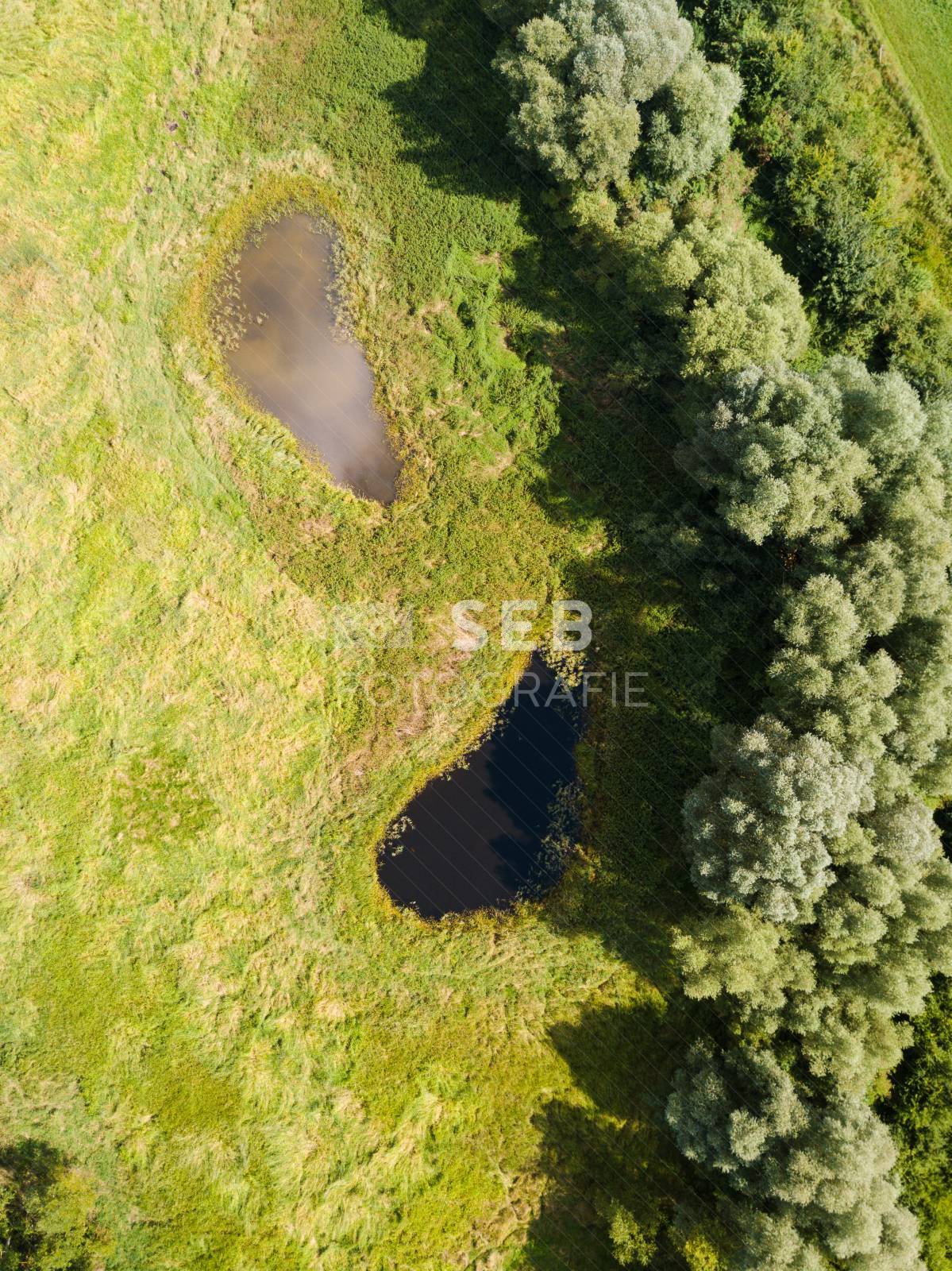Aubach kurz vor dem Medeweger See