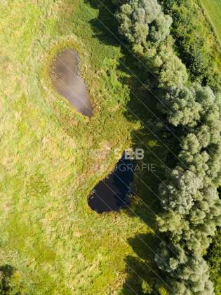 Aubach kurz vor dem Medeweger See