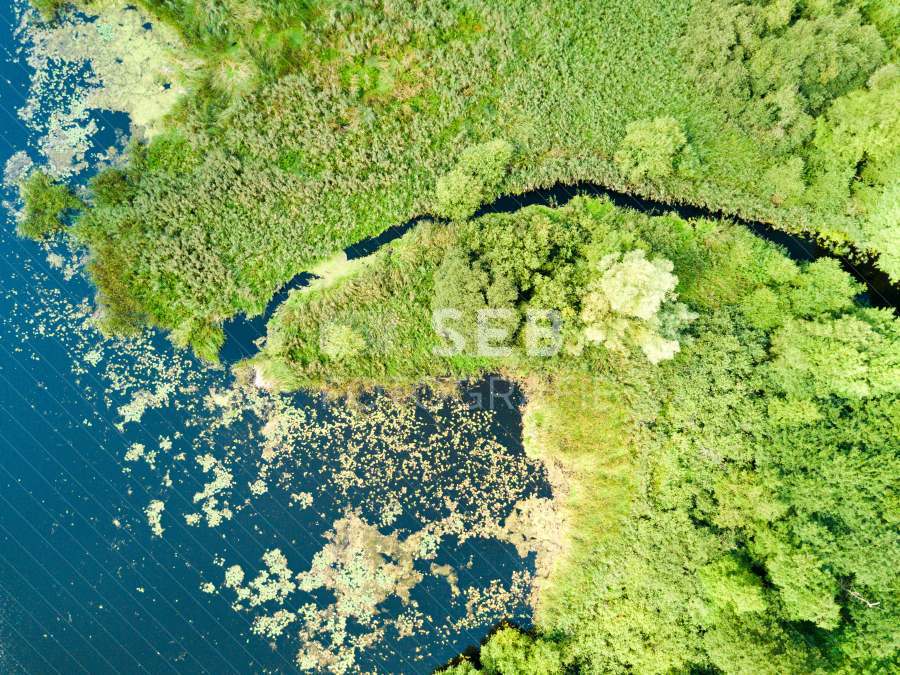 Mündung des Aubachs in den Medeweger See