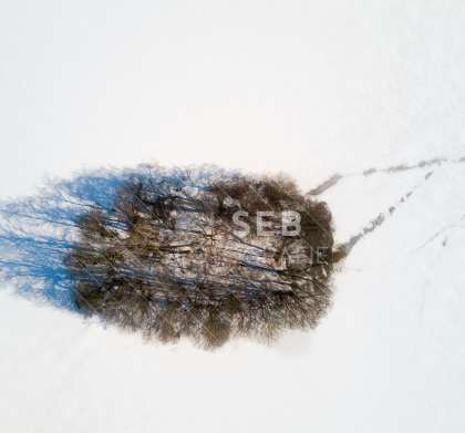 Lankower See bei Frost