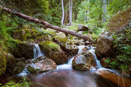 Steinerne Renne bei Wernigerode