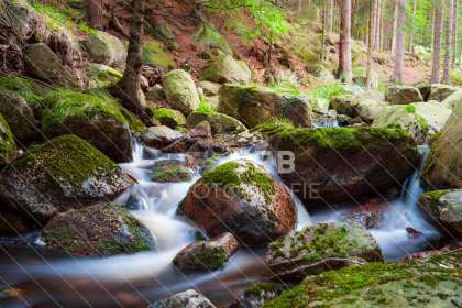 Steinerne Renne bei Wernigerode