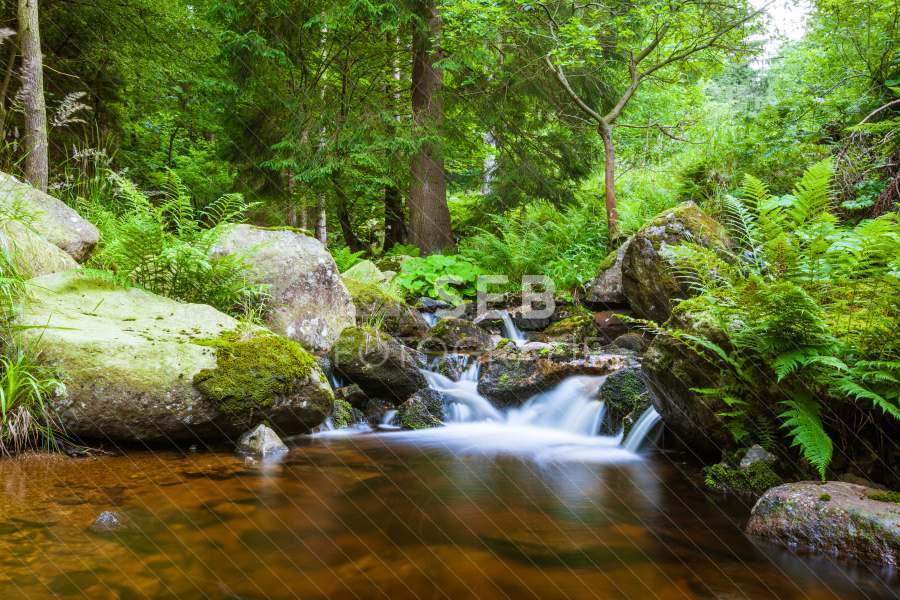 Steinerne Renne bei Wernigerode