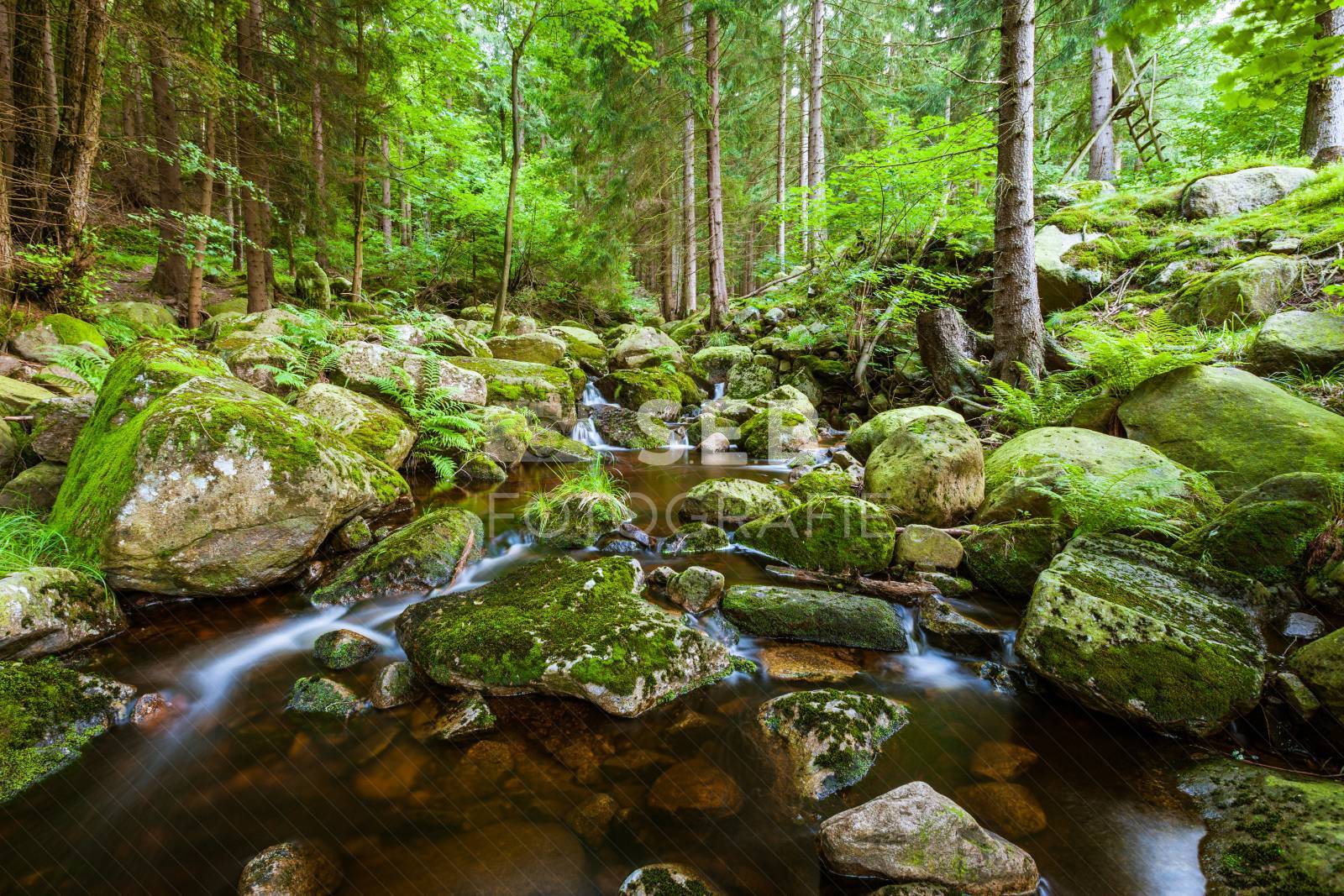 Steinerne Renne bei Wernigerode