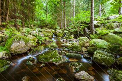 Steinerne Renne bei Wernigerode