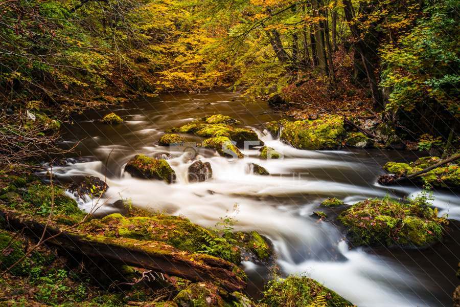 Unterwegs im Bodetal