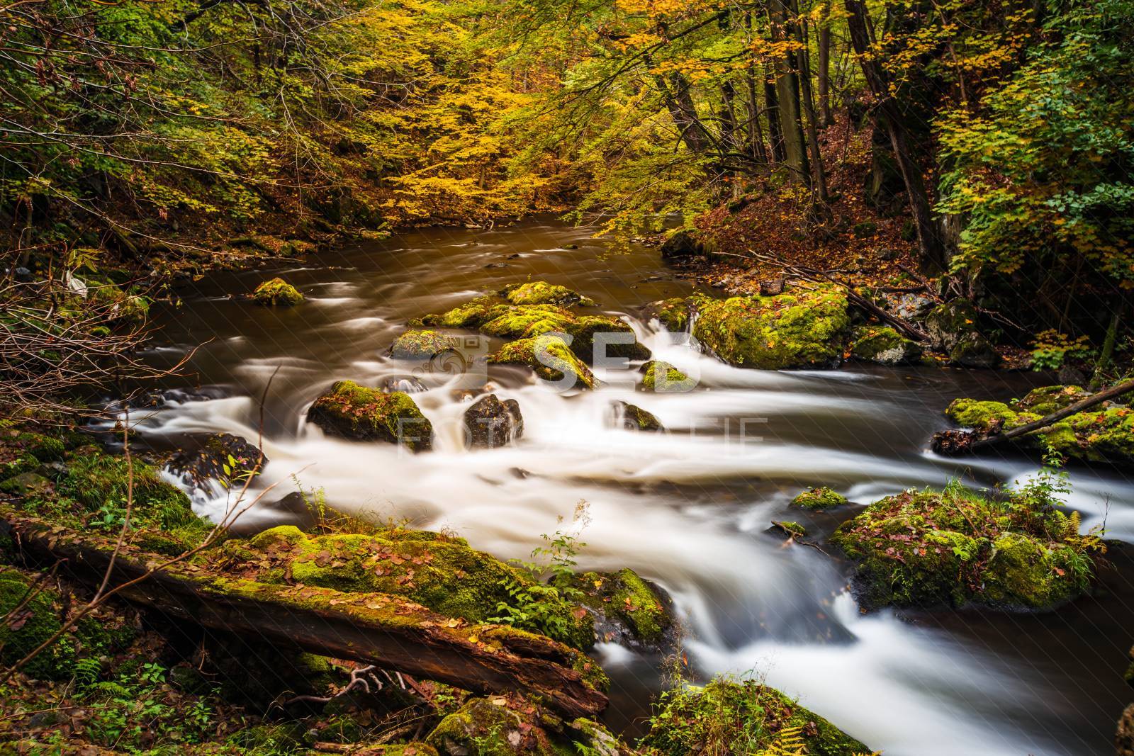 Unterwegs im Bodetal