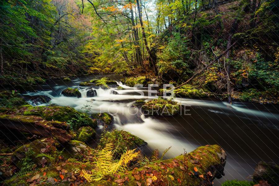 Unterwegs im Bodetal
